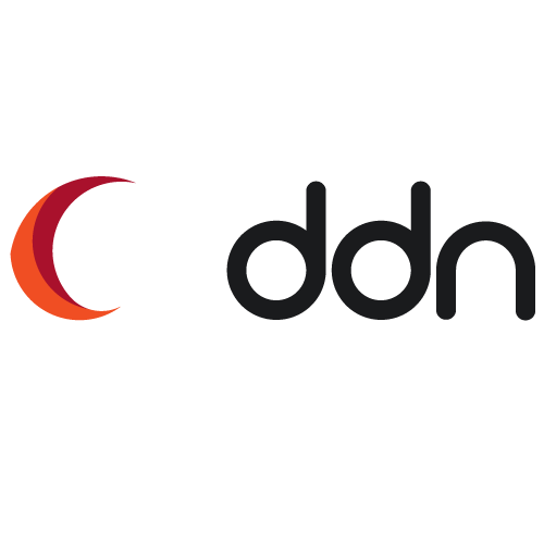 DDN logo